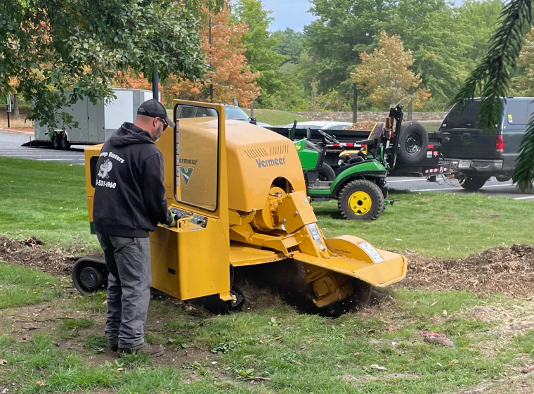 contractor prepring stump grinder belchertown ma